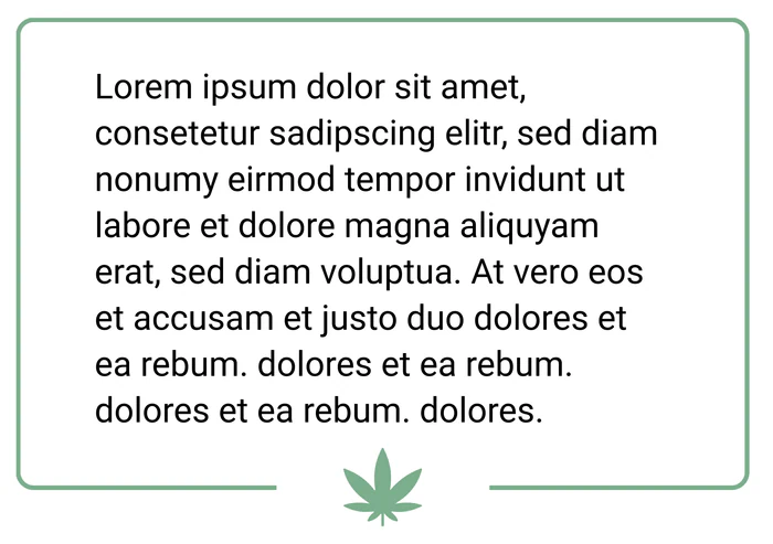 Zitat 4 zum Abimotto CannABI(s)