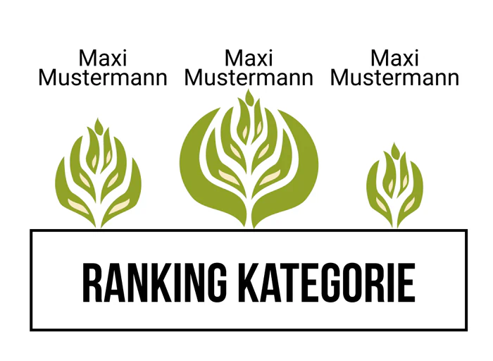 Ranking 8
