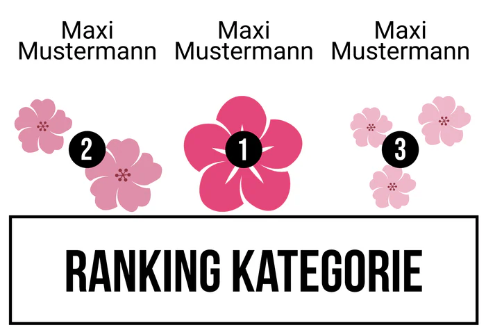 Ranking 3