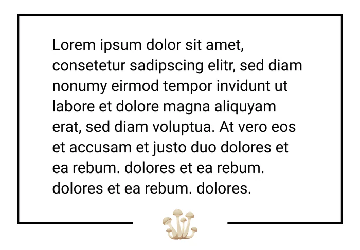 Zitat 4