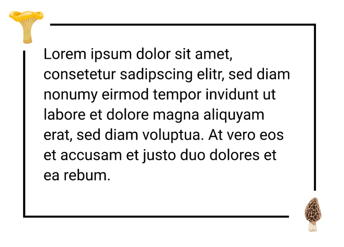 Zitat 5