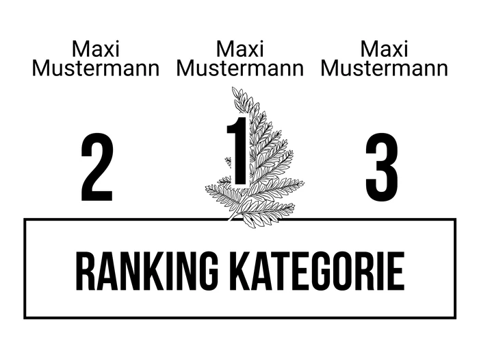 Ranking 3